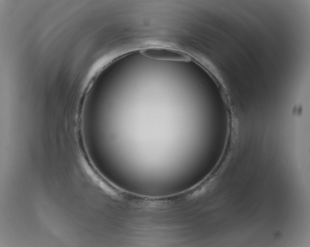 X0000111171381200907151248