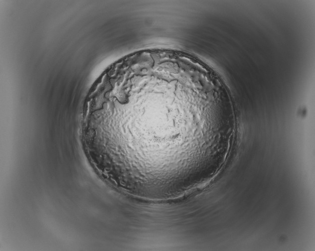 X0000111171383200907151248