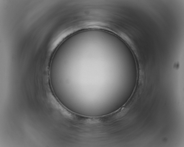 X0000111171384200907151248