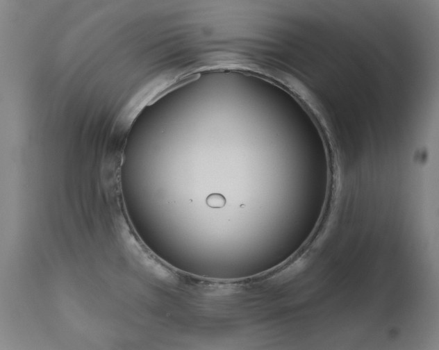 X0000111171385200907151248