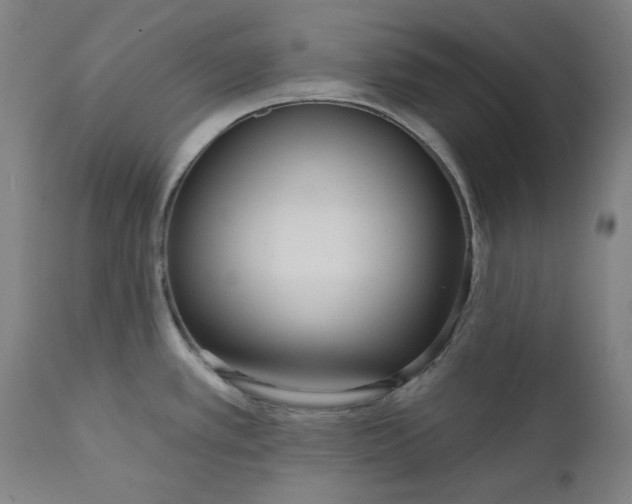 X0000111171389200907151248