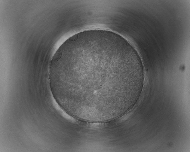 X0000111171390200907151248