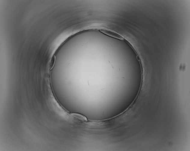 X0000111171392200907151248