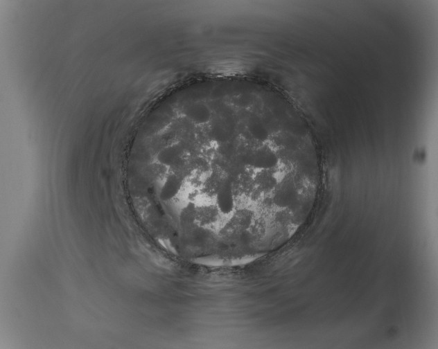 X0000111171393200907151247