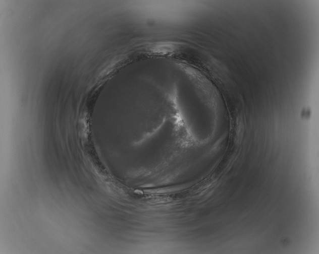 X0000111171394200907151247