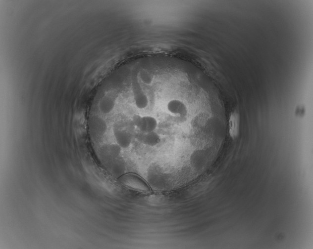 X0000111171395200907151247