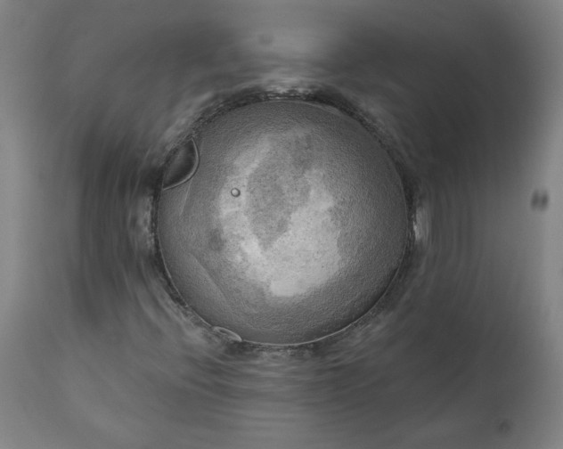 X0000111171396200907151247