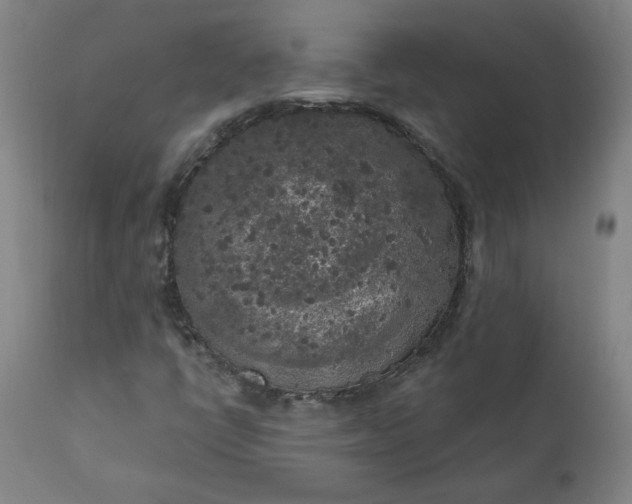 X0000111171398200907151247