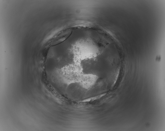 X0000111171399200907151247