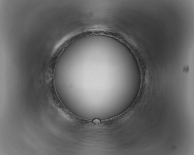 X0000111171400200907151247