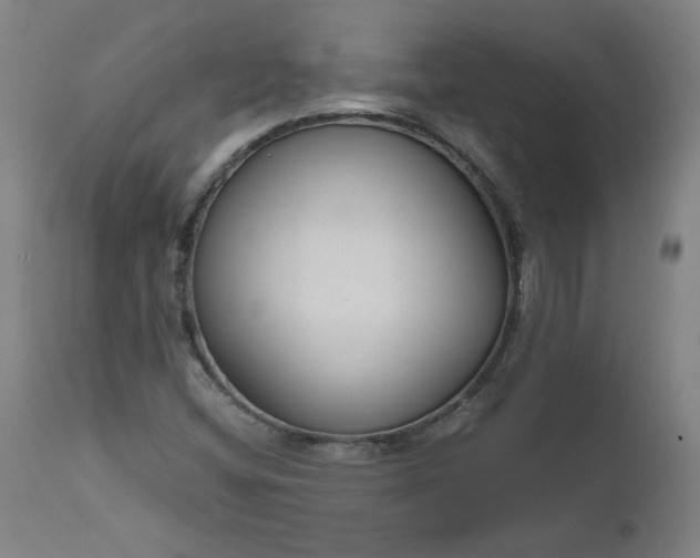 X0000111171404200907151248