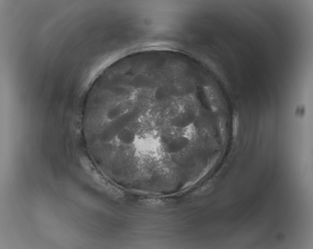 X0000111171405200907151248