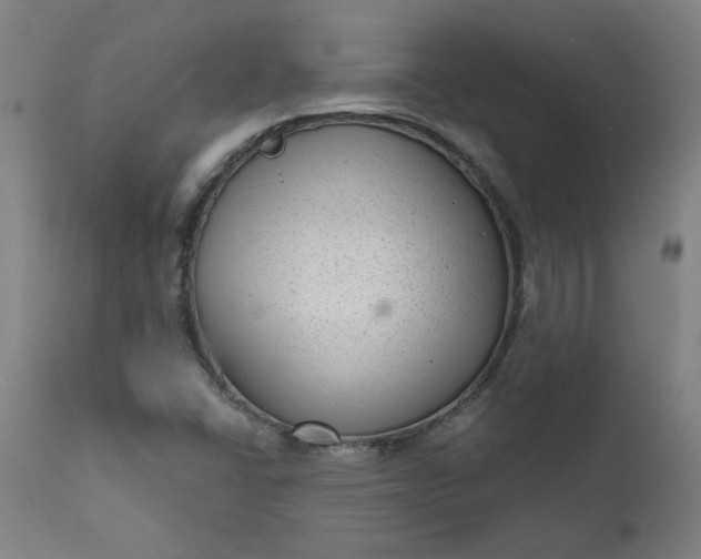 X0000111171406200907151248