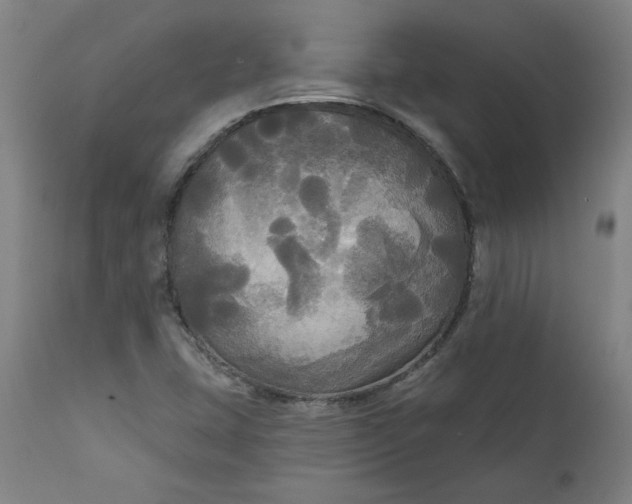 X0000111171407200907151248