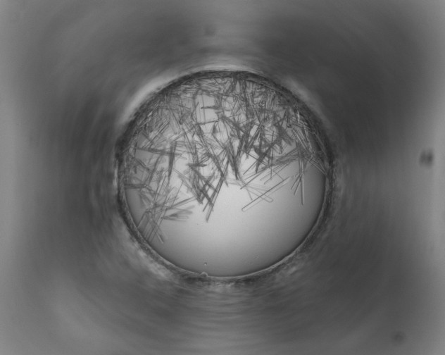 X0000111171408200907151248