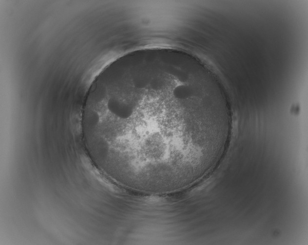 X0000111171409200907151248