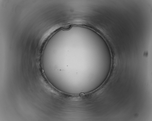 X0000111171410200907151248