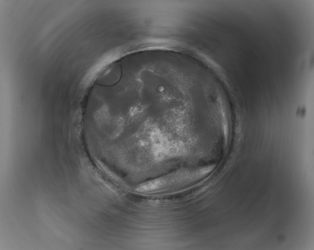 X0000111171411200907151248