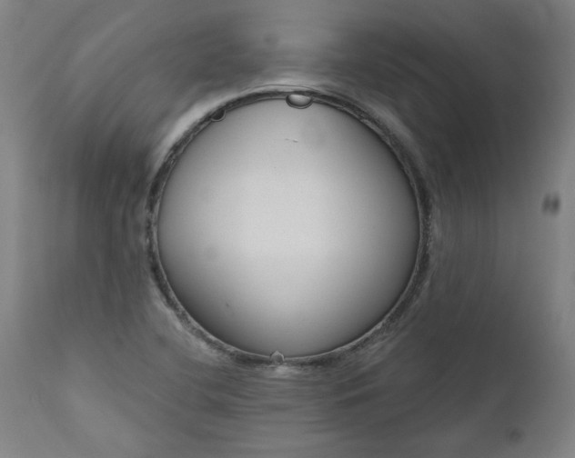 X0000111171412200907151248