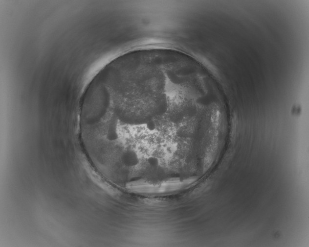 X0000111171413200907151248