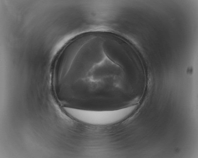 X0000111171414200907151248