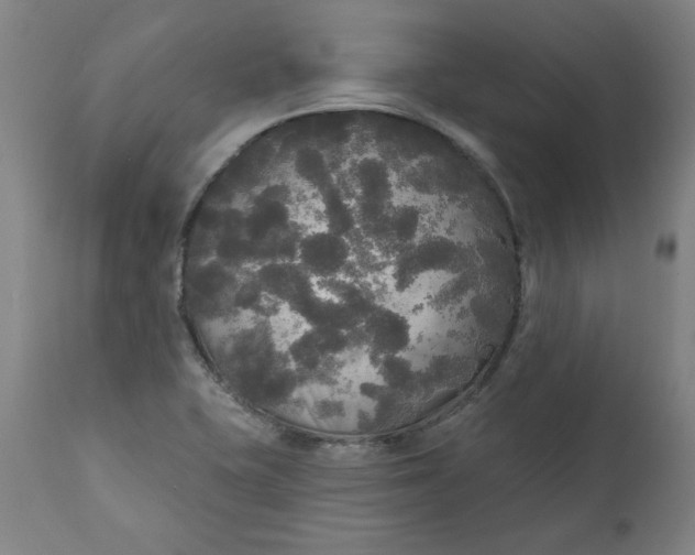 X0000111171415200907151248