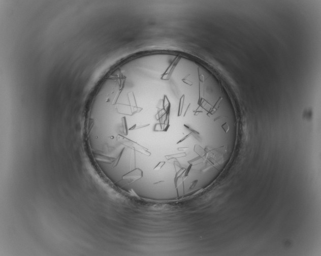 X0000111171416200907151248