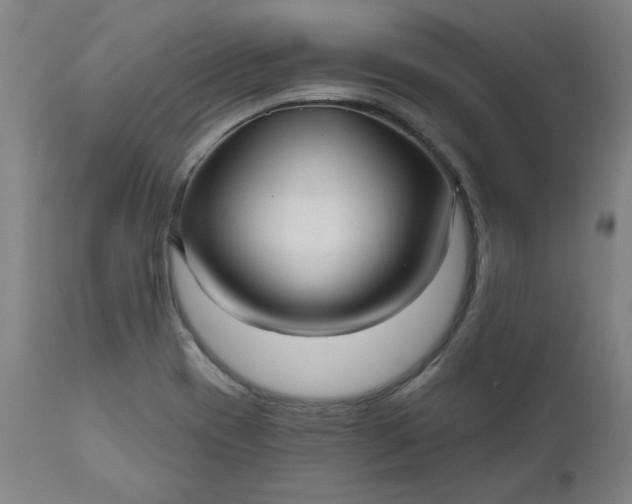 X0000111171417200907151248