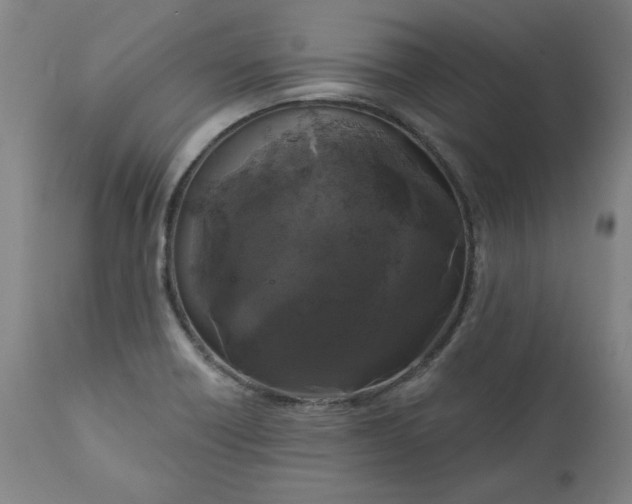 X0000111171418200907151248