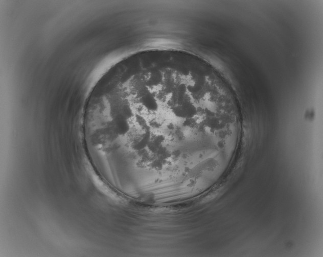 X0000111171421200907151248