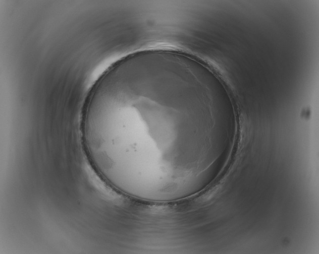 X0000111171422200907151248