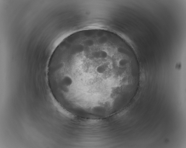 X0000111171423200907151248