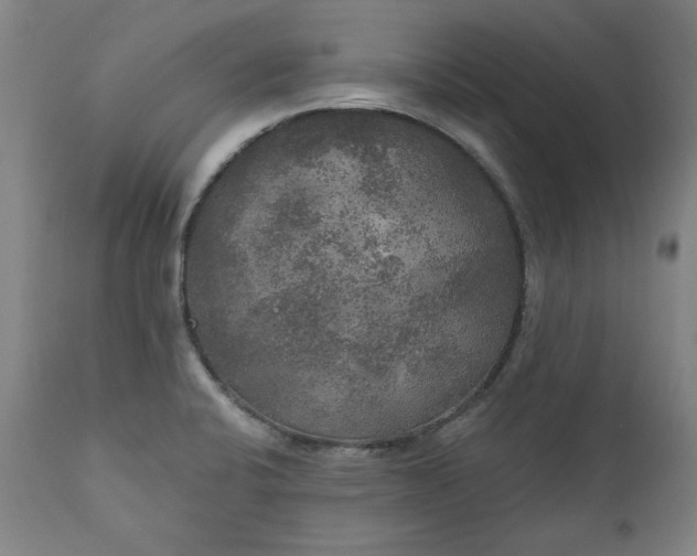 X0000111171424200907151248