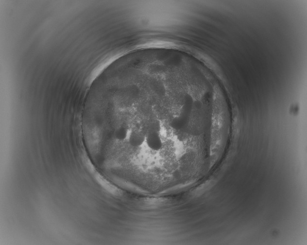 X0000111171425200907151248