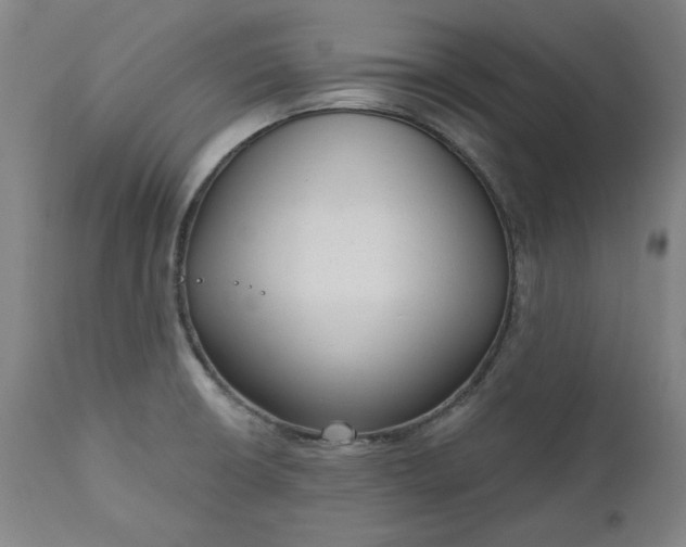 X0000111171426200907151248