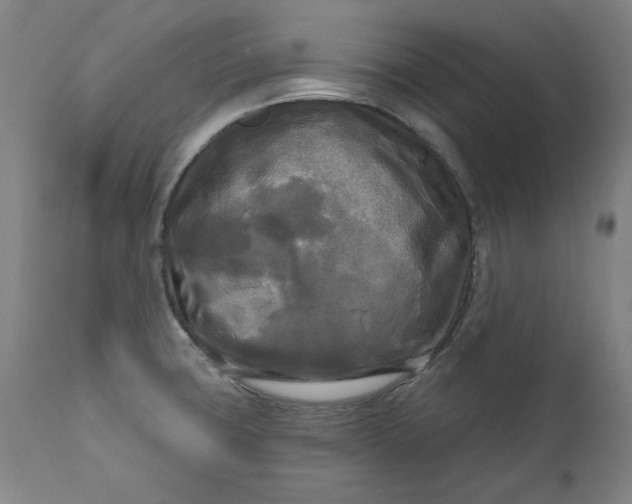 X0000111171427200907151248