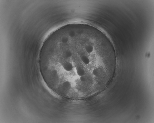 X0000111171429200907151248