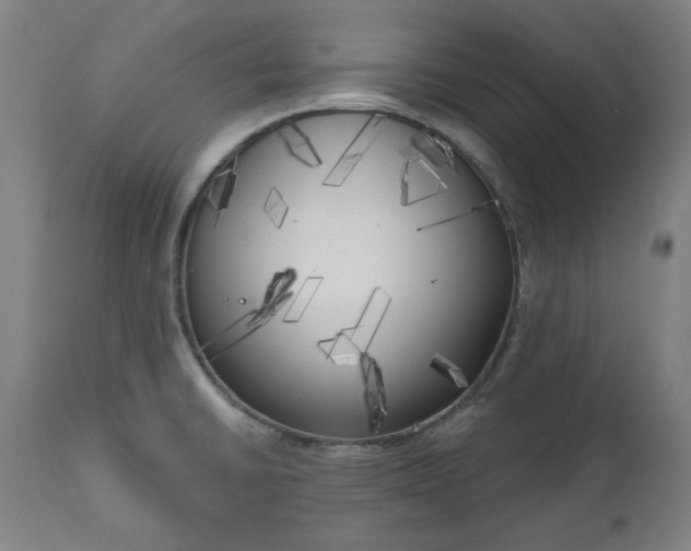 X0000111171430200907151248