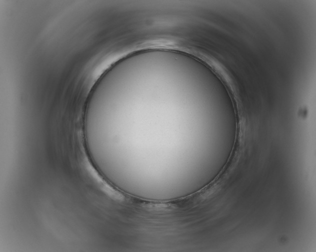 X0000111171432200907151248