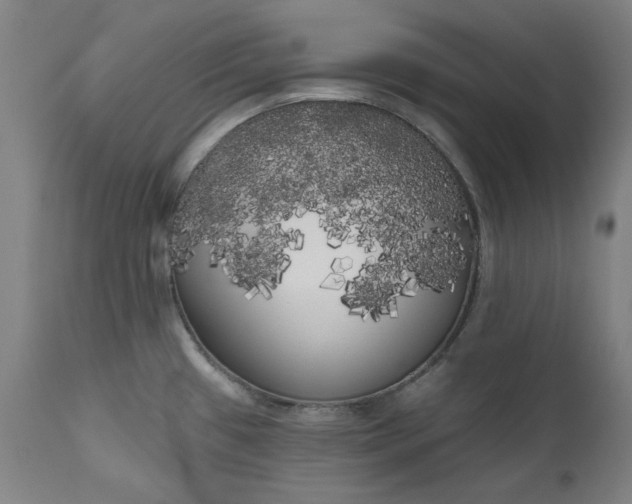 X0000111171433200907151248