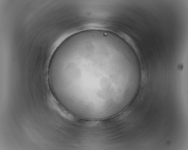 X0000111171435200907151248