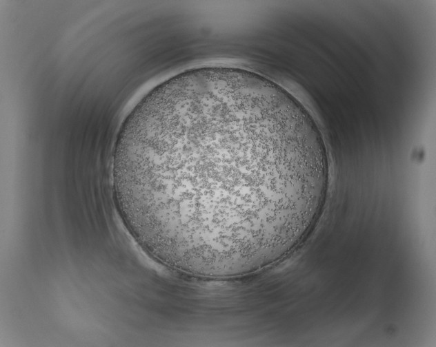 X0000111171436200907151248