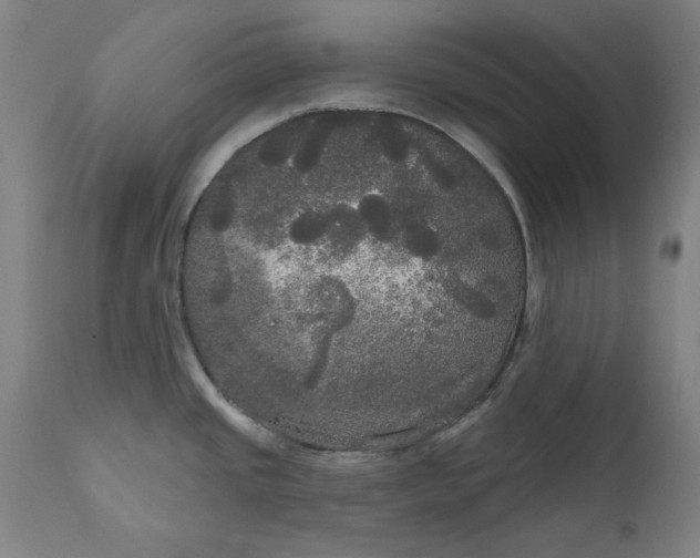 X0000111171437200907151248