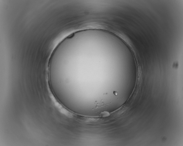 X0000111171439200907151248