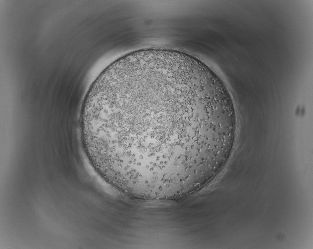 X0000111171440200907151248