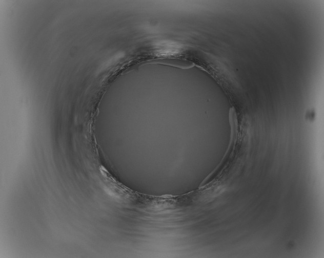 X0000111171441200907151247