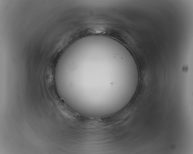 X0000111171442200907151247