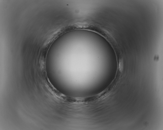 X0000111171444200907151247