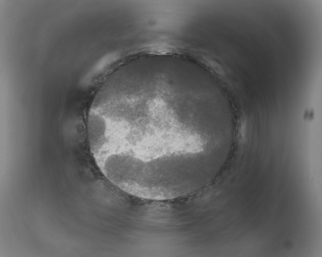 X0000111171446200907151247