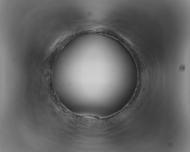 X0000111171447200907151247